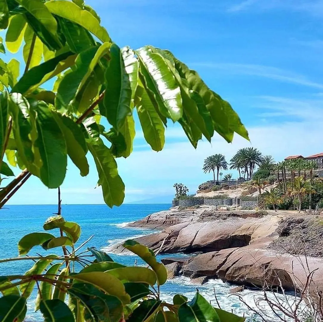 Best Ocean View - Los Cristianos Lägenhet Los Cristianos (Tenerife)